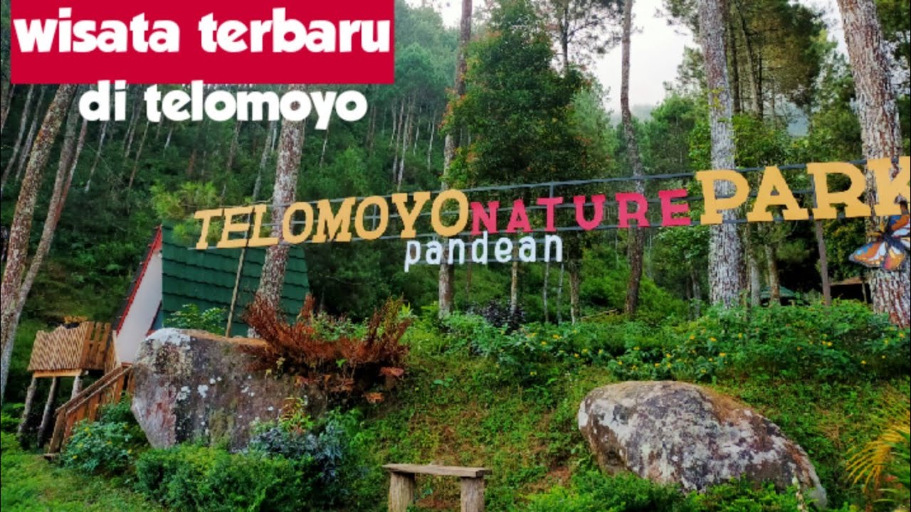 Telomoyo Nature Park: Pesona Alam di Lereng Merapi